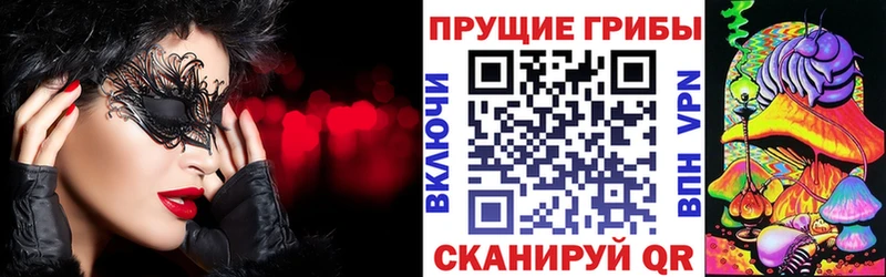 как найти   Онега  Галлюциногенные грибы Cubensis 