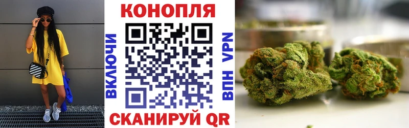 Канабис MAZAR  Онега 